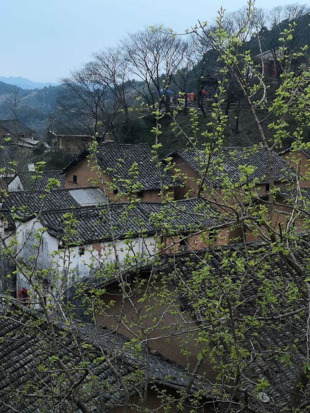 陽產土樓