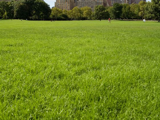 錫林公園