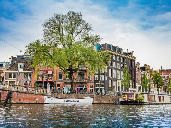 Canals of Amsterdam