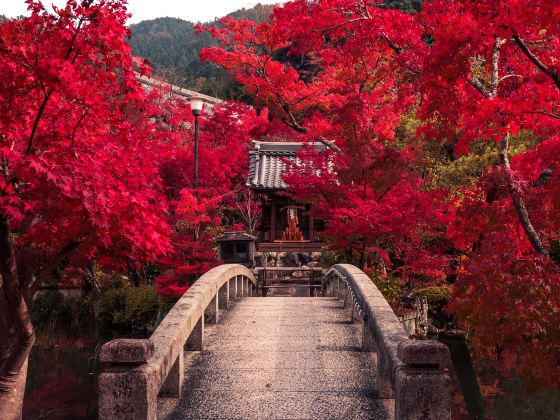 禅林寺 (永観堂)