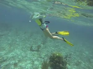 Blue Ocean Dive Centre