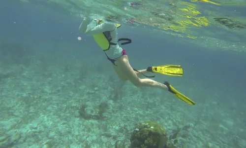 Blue Ocean Dive Centre