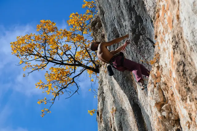 Rock Climbing in Krabi
