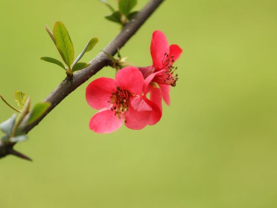 盤古村自然公園