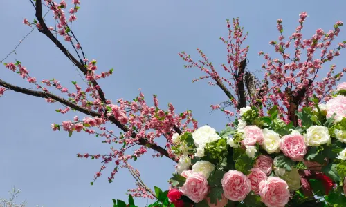 Mingyue Romance Park