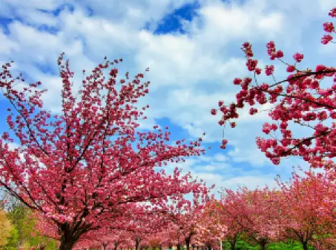 Popular Spring Outings in Rhein-Neckar-Kreis