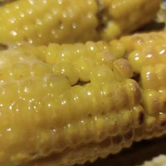 寂寞的豆芽 User Photo