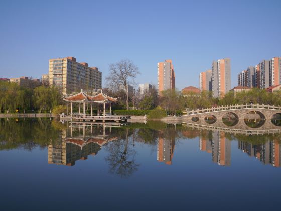 Jiaozhou Park