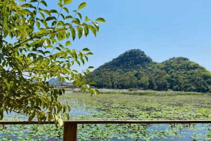 普者黑兮院度假酒店·餐厅