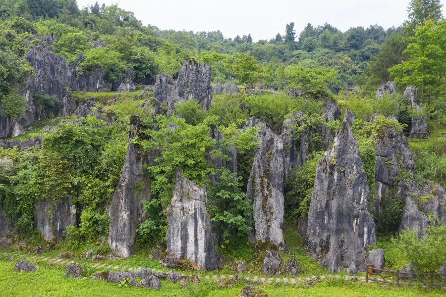 Sinan Stone Forest Tourist Area