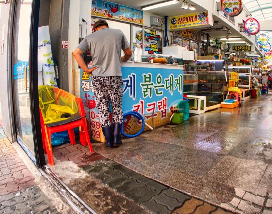 束草市 自由行套票