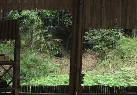 東鶩山農家樂