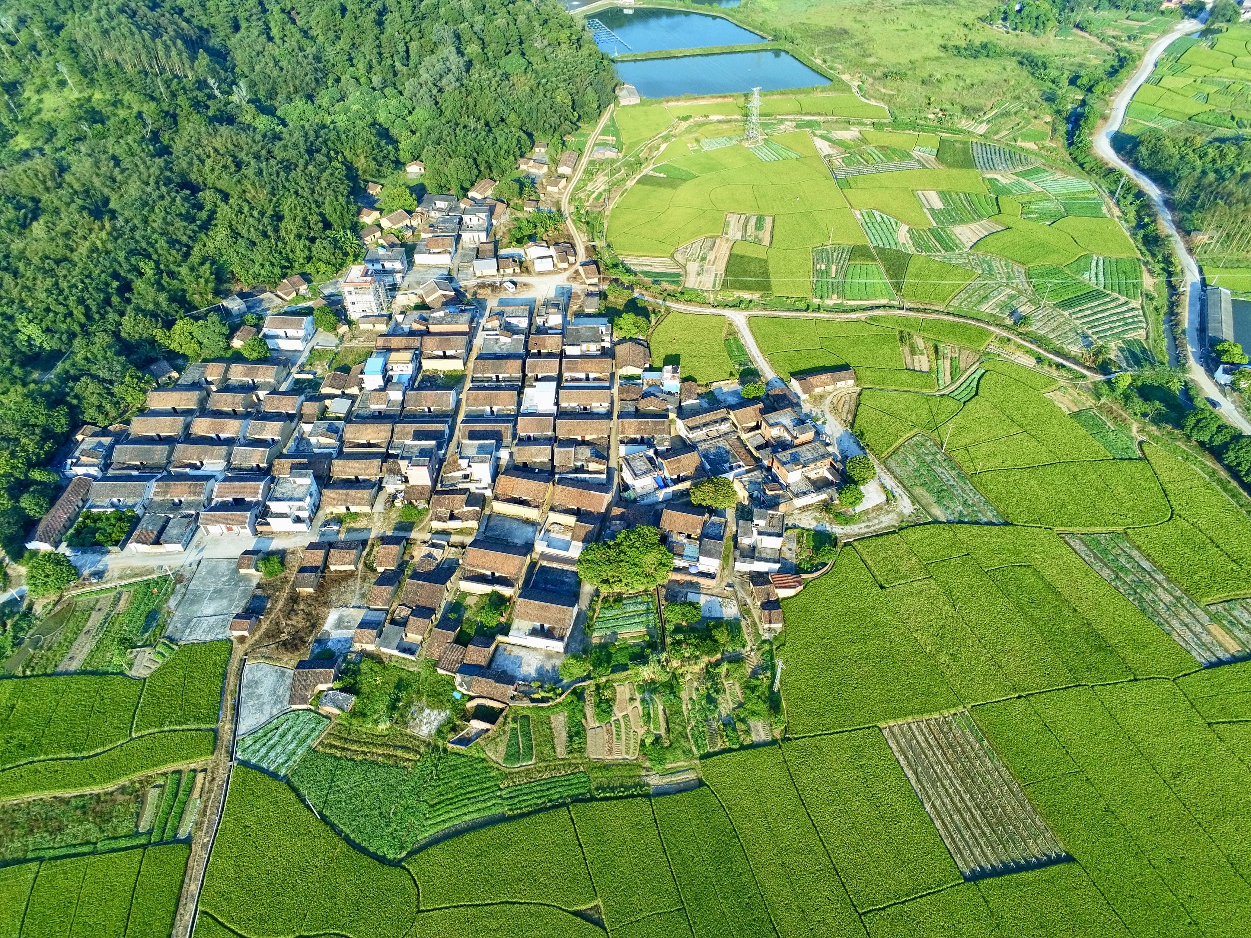Sihui