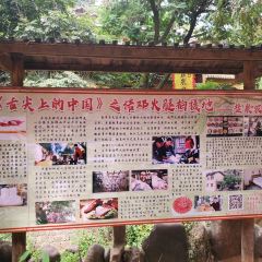 诺邓盐泉农家 User Photo