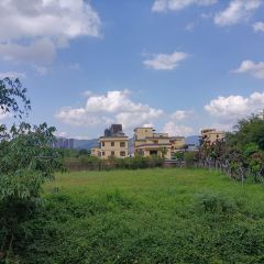 鐘山美食閣張用戶圖片