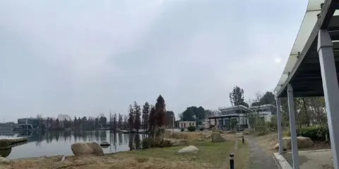 東阜湖公園