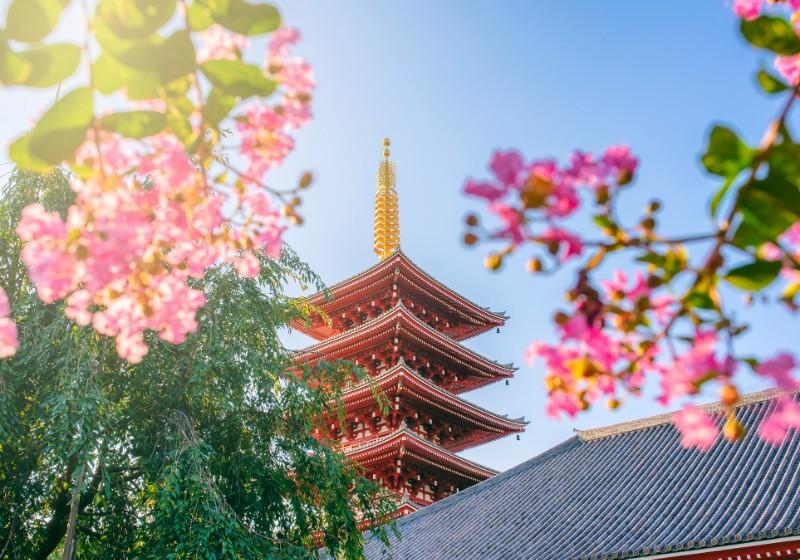 48 hours in Tokyo: Our express guide to the Japanese capital