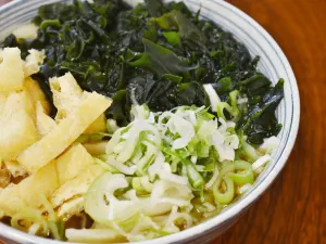 Takekawa Udon