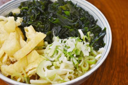 Takekawa Udon