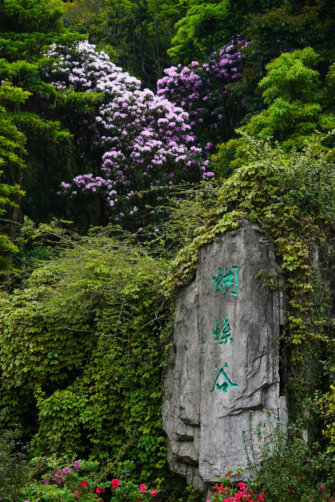 Hotels near Butterfly Valley