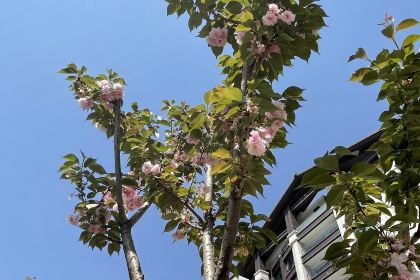 陇南恒悦祥酒店·中餐厅