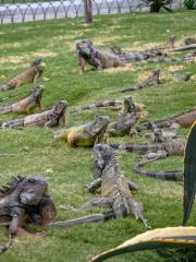 セミナリオ公園