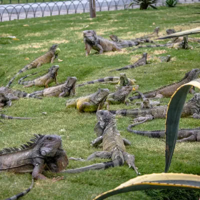 グロリア・ガジャルド公園周辺のホテル