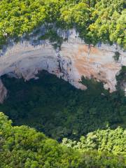 Huangjing Cave Tiankeng National Forest Park