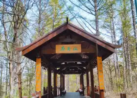 Nanzhaoshan Park