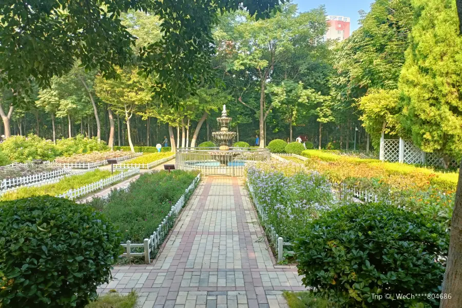 สวนสาธารณะดอกไม้เมืองจิน