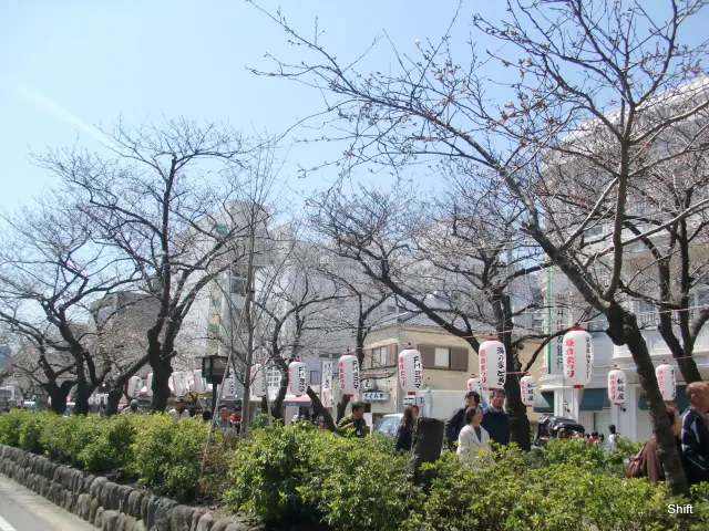 鶴岡八幡宮