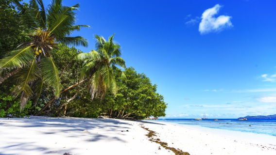 La Digue