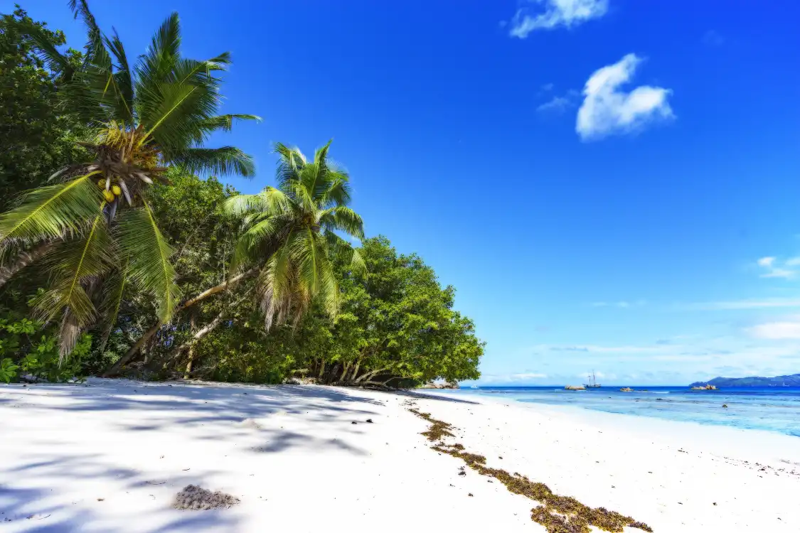Hotels near Anse Severe