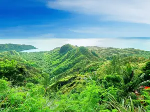 Cetti Bay Overlook