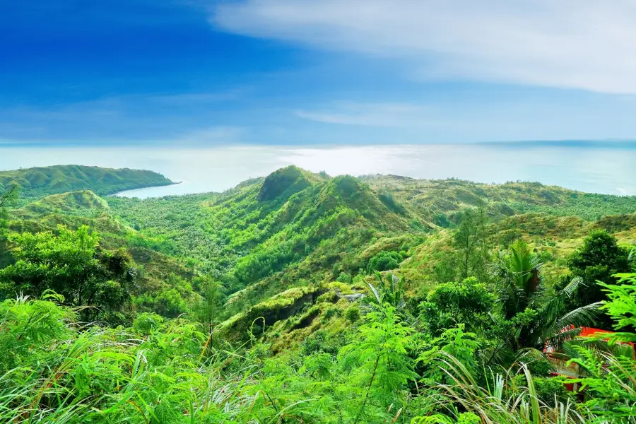 Cetti Bay Overlook