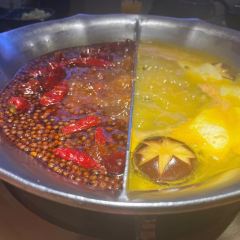 Coucouhuoguo·chaqi (laifushiguangchangzhangning) User Photo