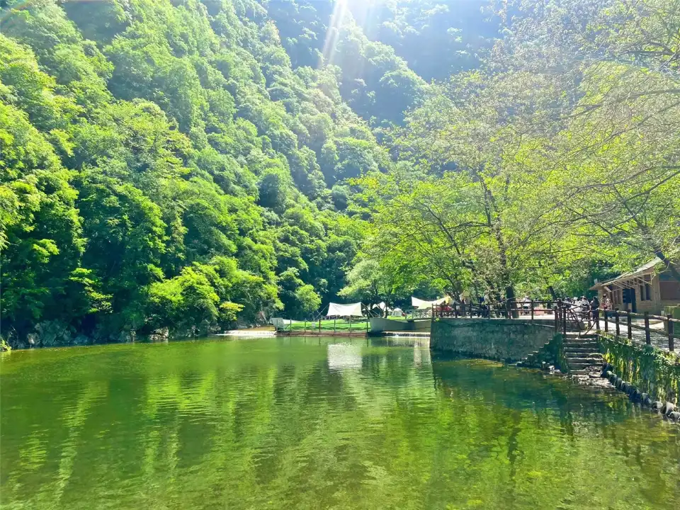 4_太平國家森林公園