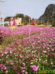 春灣鎮高村旅遊度假區