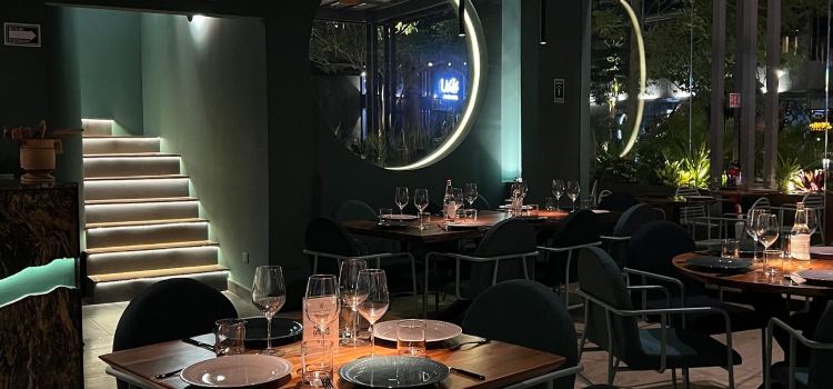Jumiles Experiencia Mexicana
