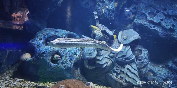 Fudi Ocean Park