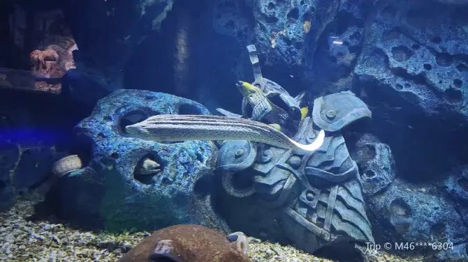 2_富地海洋樂園
