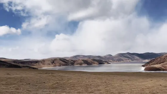莽錯