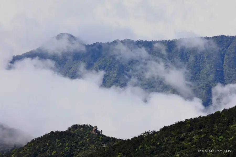 Dayangshan Sceneic Area