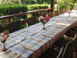 Albergo Ristorante Il Gabbiano e Agriturismo Lagolivo