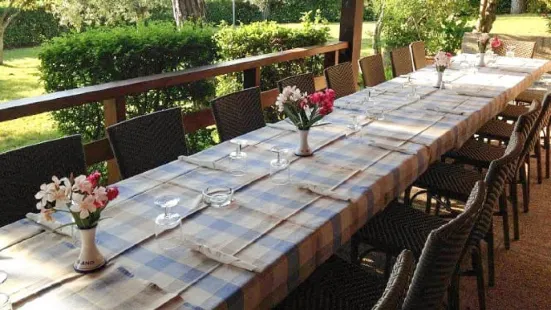 Albergo Ristorante Il Gabbiano e Agriturismo Lagolivo