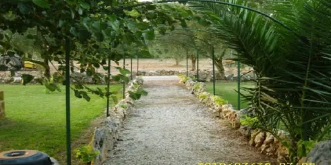 Agriturismo La Morò