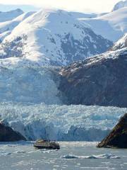 Edicot arm & Dawes glacier