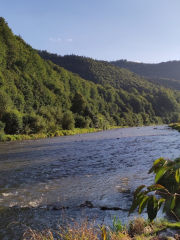 Parco Naturale della Gola Superiore di Mureș