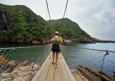 Storms River bridge