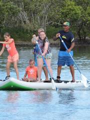 Tony Begg - Stand Up Paddle